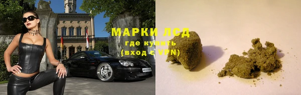 гидра Алзамай