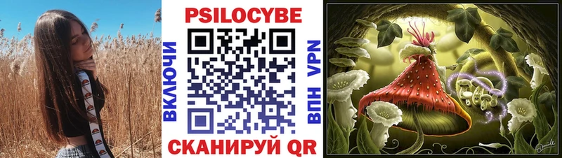 магазин  наркотиков  Кирсанов  Галлюциногенные грибы мицелий 