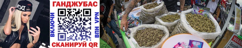 Конопля OG Kush  Кирсанов 